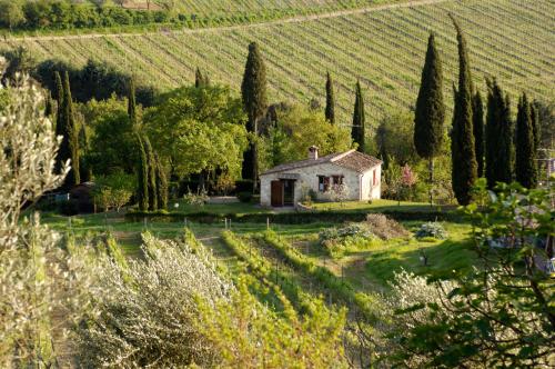 B&B San Gimignano - Podere Montese Country House - Bed and Breakfast San Gimignano