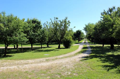 Tenuta Santa Lucia