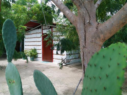 Alojamiento Casa de campo los Cactus