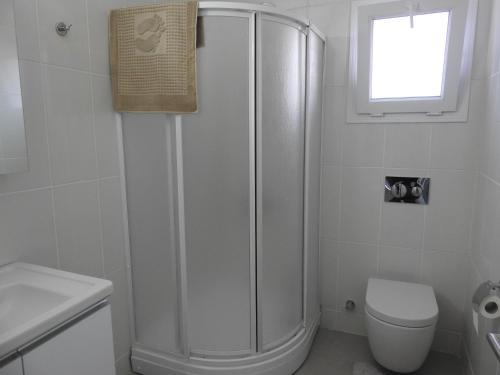 Alp Apartment