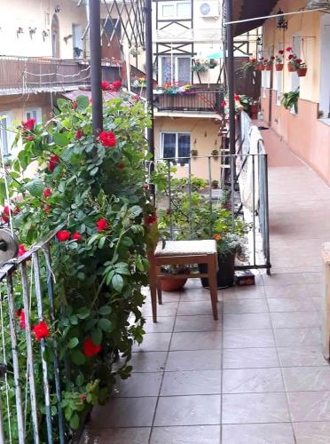 Apartment in the historical city center