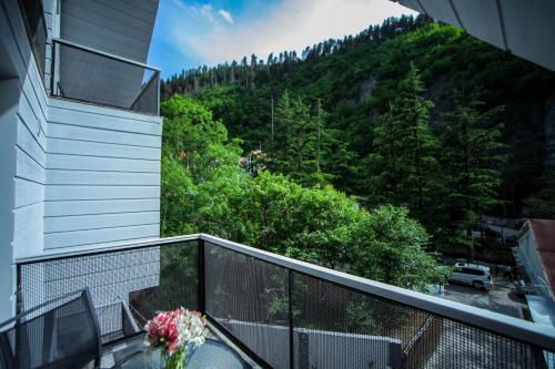 Utsikt, Borjomi UnderWood in Borjomi