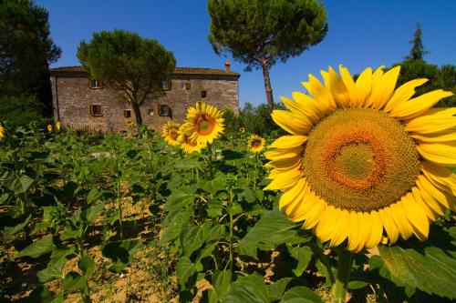 B&B Il Molinello