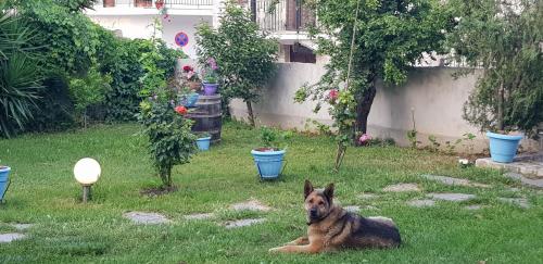  Romantic room with garden view #1 in Afytos