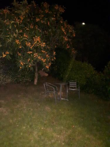 Grand studio in La Roquette-sur-Siagne