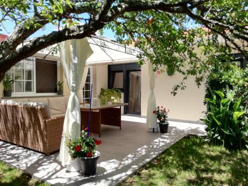 JARDIN, TERRAZA Y BARBACOA