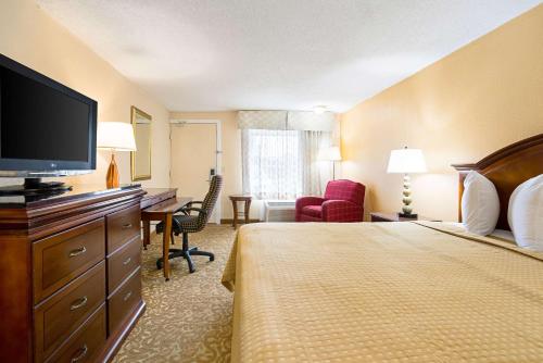 Rodeway Inn Metro Airport - image 9