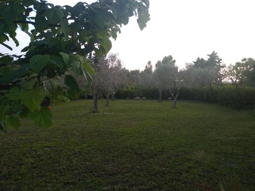 B&B Alicino - main image
