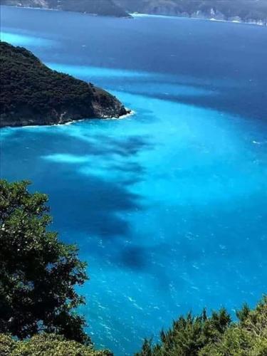  Korali in Kallithea (Chalkidiki)