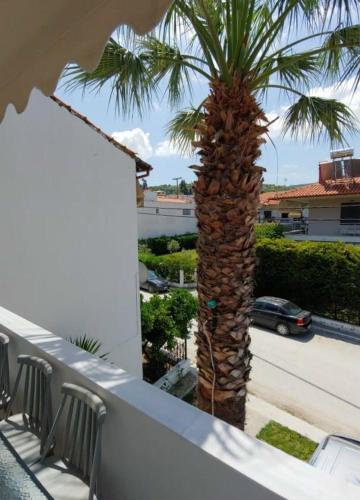  Nikogroup Sofia in Polychrono