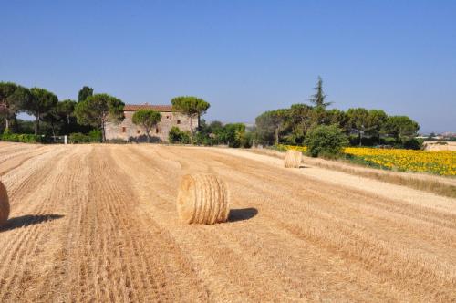 B&B Il Molinello