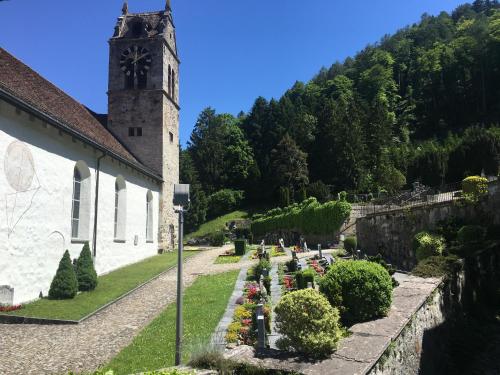 Historic Hotel Steinbock