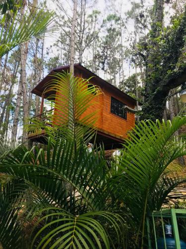 Casa de Arbol, Rancho Tierra Alta — Hotel in Agua Larga