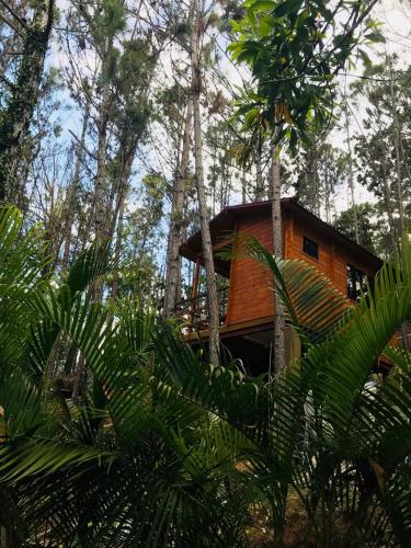 Casa de Arbol, Rancho Tierra Alta photo