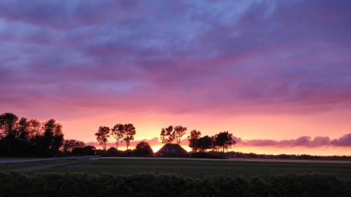 Camping De Tulpenweide lege Kampeerplaats, lege plaats op het gras zonder bed – Breezand, PA