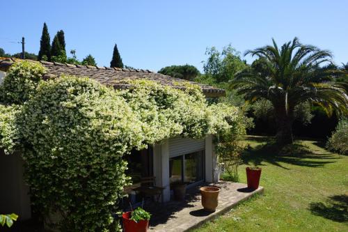 Studio au coeur de la petite camargue in 博瓦桑
