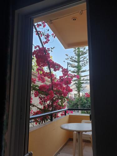 Drosia Hotel in Krionerida