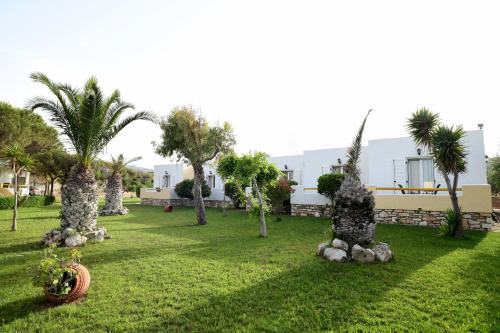 Asteras Paradise - main image