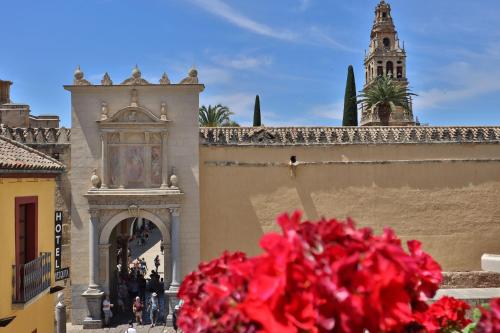 El balcón de la Mezquita, Cordoue (photo 6)