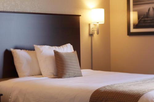 1 queen bed