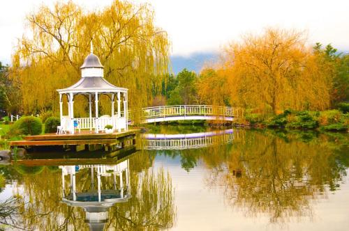 Lakeside Cottage Luxury B&B - Accommodation - Mount Dandenong