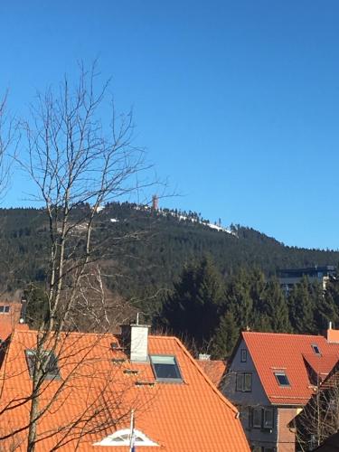 Luxuriöse 3-Zi. Ferienwohnung Jagdromantik 200 m bis zur Wurmbergsseilbahn - image 5