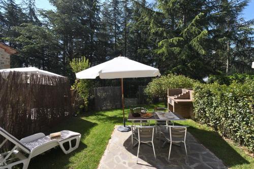 Castellare in Chianti, Gaiole in Chianti (fotografie 5)