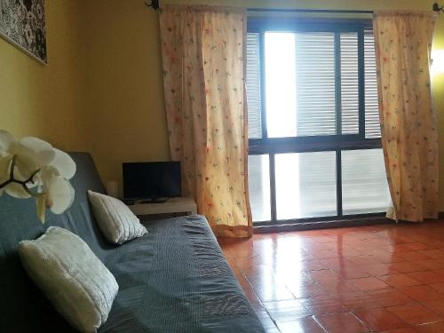  Apartamento Botanique in Coimbra
