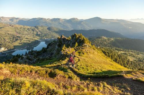 Almhütte Schmidt - image 12