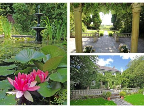 Daisy Lodge - image 5