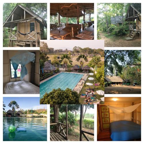 The Mountain View Backpacker Guest House