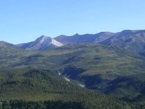 Alaskan Spruce Cabins - image 4