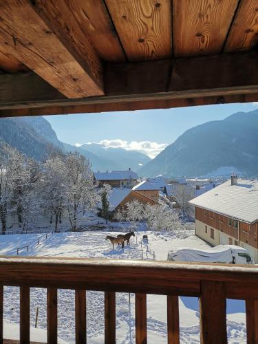 Mazot de Joe avec son hammam entre la Clusaz et Annecy