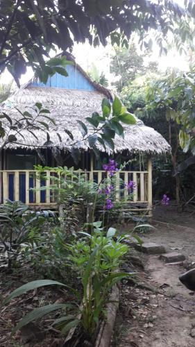 Omshanty Jungle Lodge