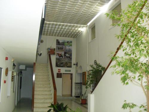 El Faisan C&R Hotel - image 12