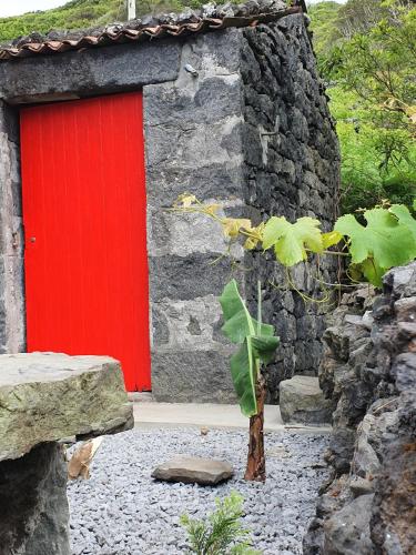 บริการและสิ่งอำนวยความสะดวก, Casinha de Nesquim in กาลเยตา เด เนสกิม