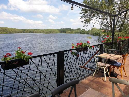 View, B&B Bela Vrba in Bačko Novo Selo