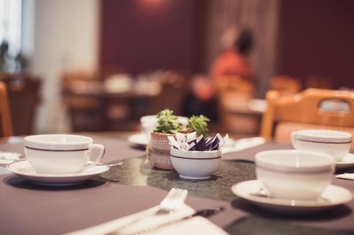 Hotel Mercure Limoges Royal Limousin