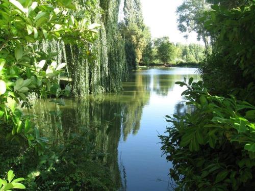 Gite Felicidade Chambord - image 5