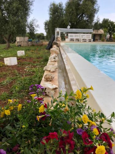 B&B Terre di Kalia - image 9