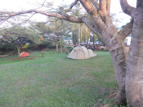 Masaka Backpackers, Tourists Cottage & Campsite in Masaka