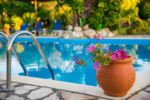  Villa Swan in Lefkada