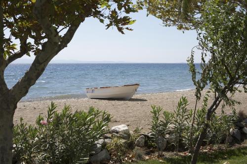 Rawda Resort Hotel Altinoluk Altinoluk Turkey Booking Com