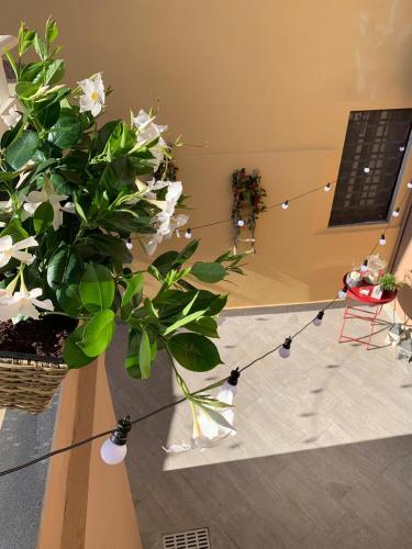  B&B ALVINO in Bientina