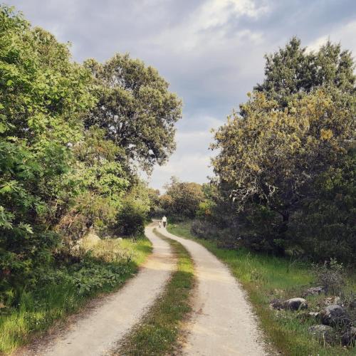 Los Secaderos, Candeleda (fotografie 2)
