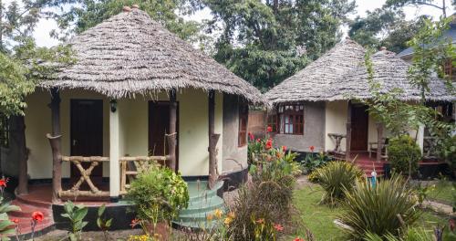 The Vijiji Center Lodge & Safari