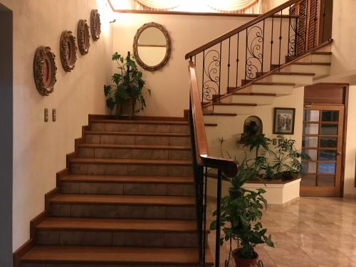 Lobby, Hotel Belvedere in Zone 15