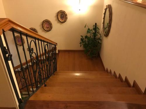 Exterior view, Hotel Belvedere in Zone 15