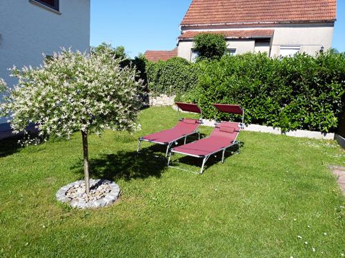花園, Ferienwohnung Kürmreuth (Ferienwohnung Kurmreuth) in 柯尼希施泰因