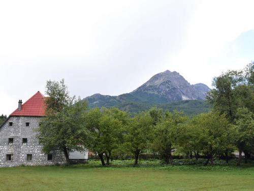 Guesthouse Jezerca — Hotel in Valbonë
